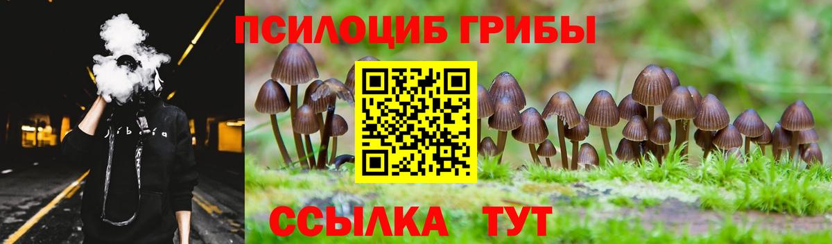 Луга  наркота  Вход с VPN  Псилоцибиновые грибы MAGIC MUSHROOMS 